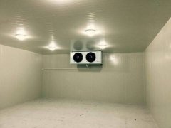老师傅揭秘：冷库设备维修需要具备哪些专业的知识