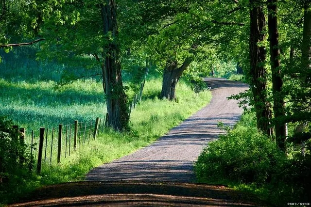 50句直接封神的人民日报金句&mdash;&mdash;摘抄