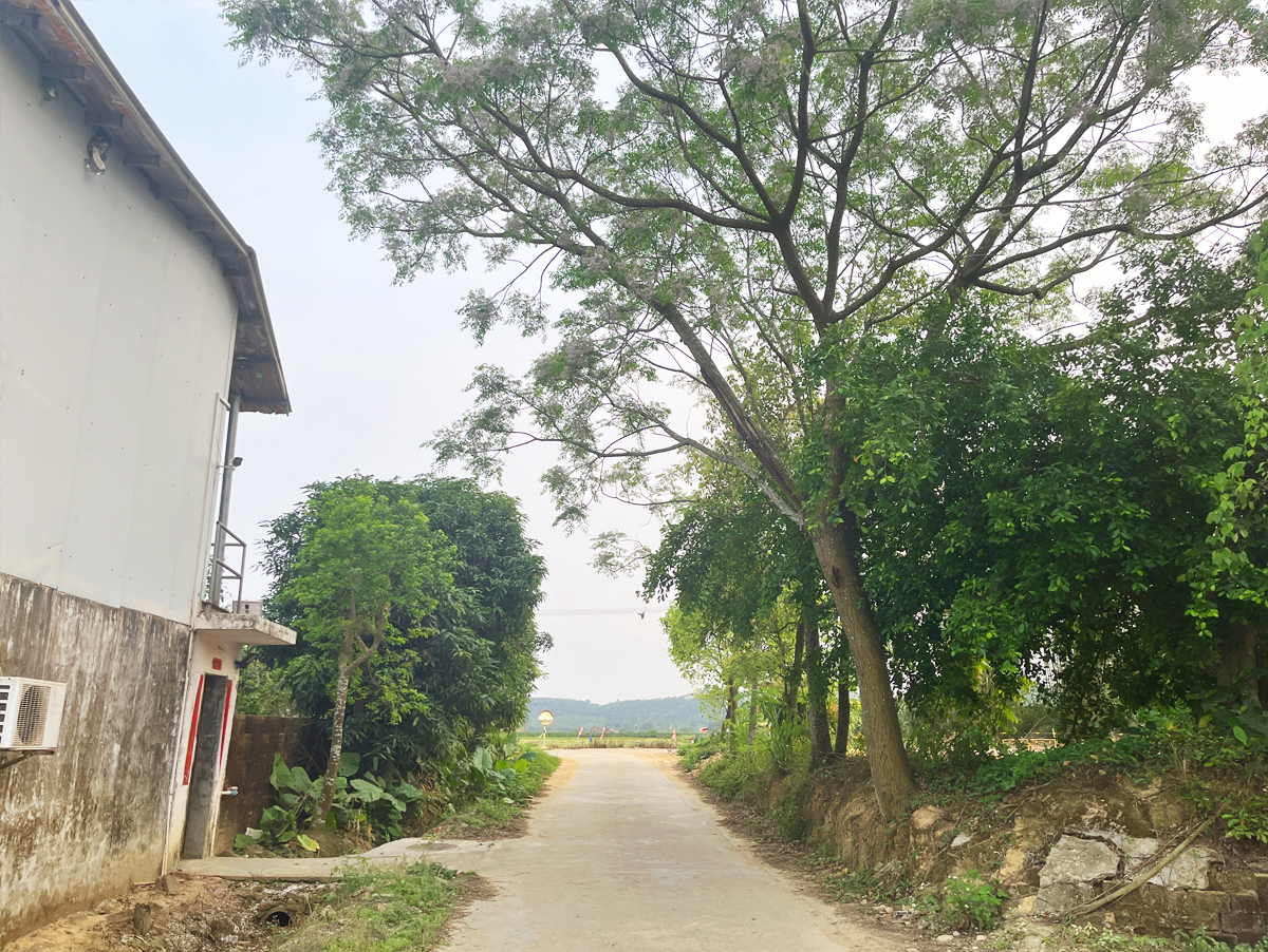 伟鹏哥家团建08 香港六马宝典