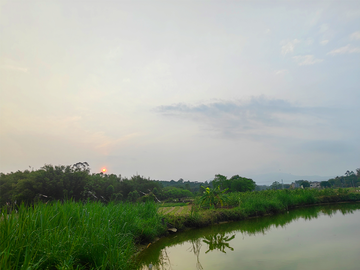 伟鹏哥家团建01 香港六马宝典