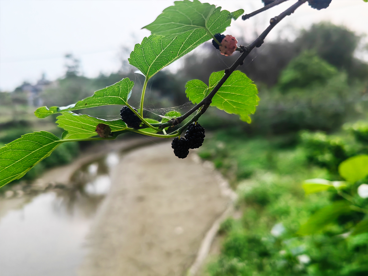 伟鹏哥家团建05 香港六马宝典