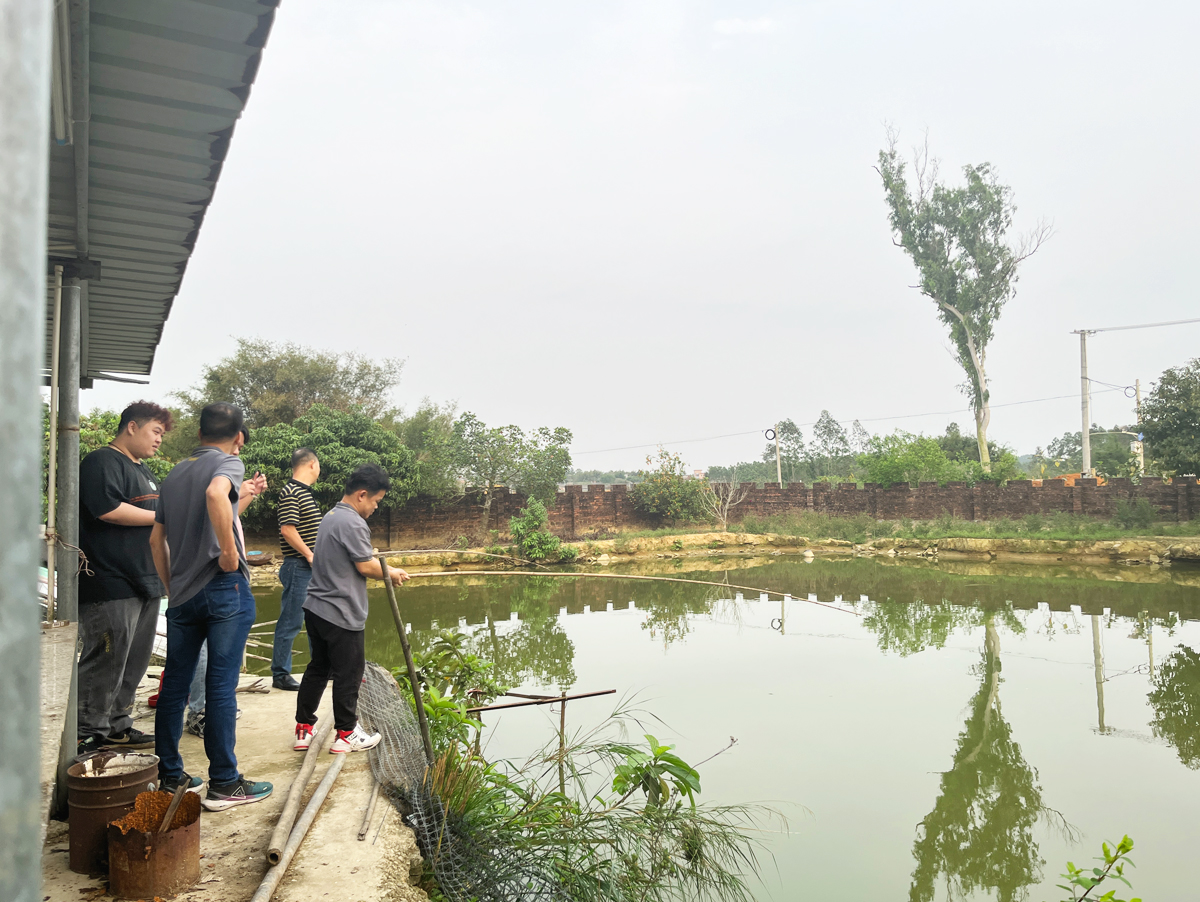 伟鹏哥家团建02 香港六马宝典