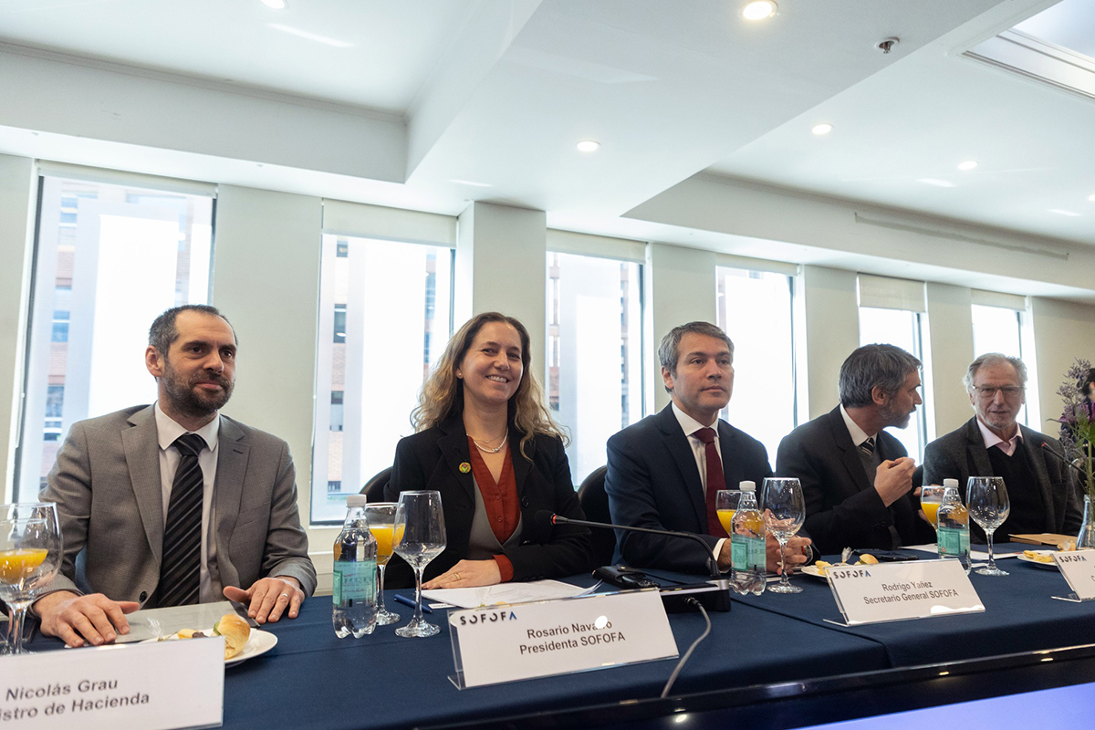 SOFOFA 环境议程：可持续发展的三大支柱